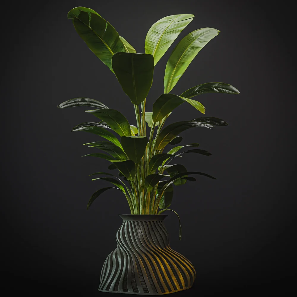 Indoor Palm Plant