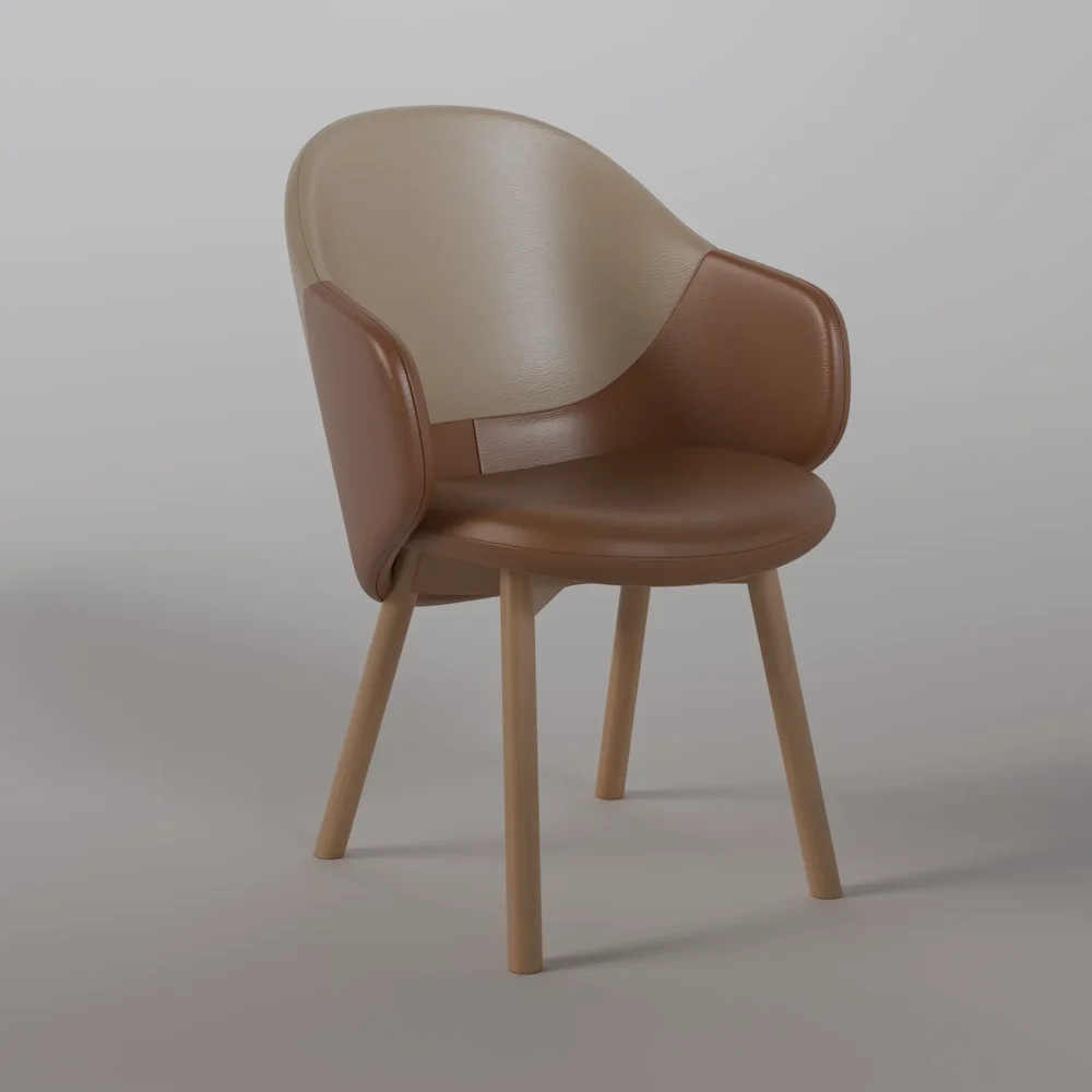 Albu Armchair B0