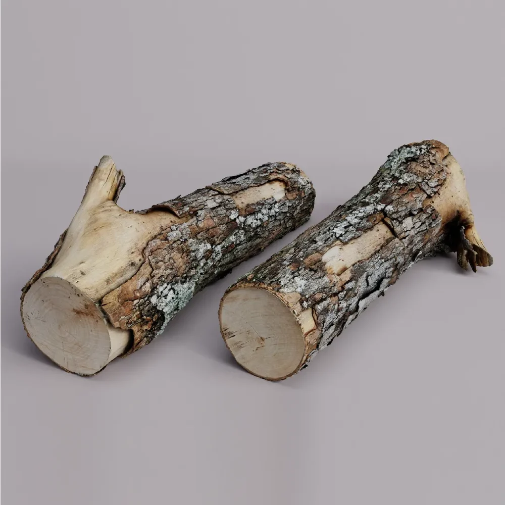 Wood Log Scan