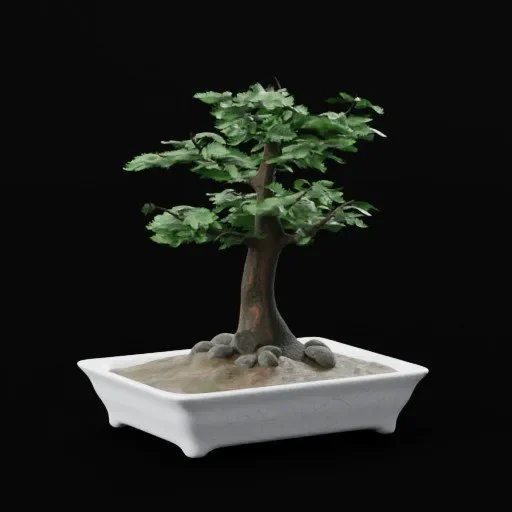 Bonsai Tree In White Blue Marbling Ceramic Vase