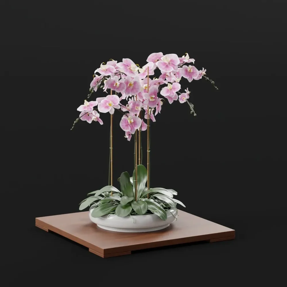 Pink Orchids In White Ceramic Pot