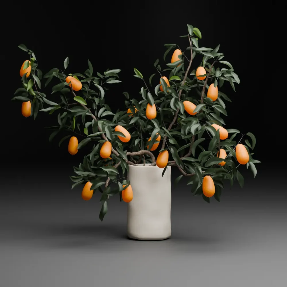 Kumquat Branches In Ceramic Vase