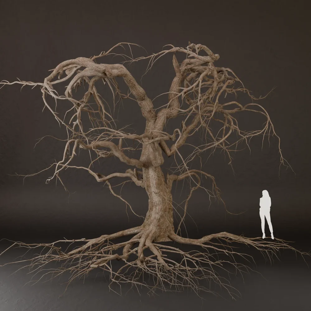 Sj-Dying Tree With Branch Details