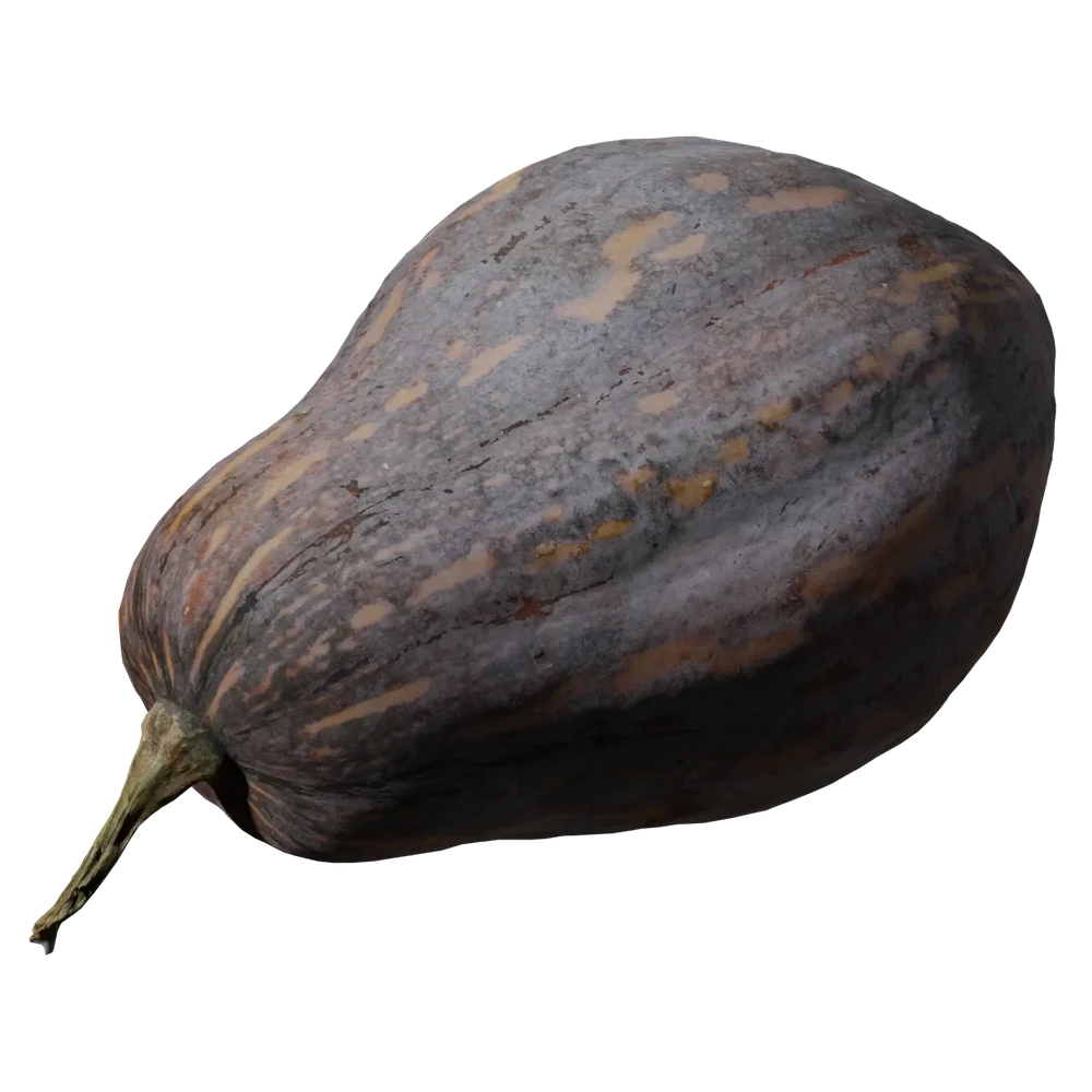 Scan Pumpkin