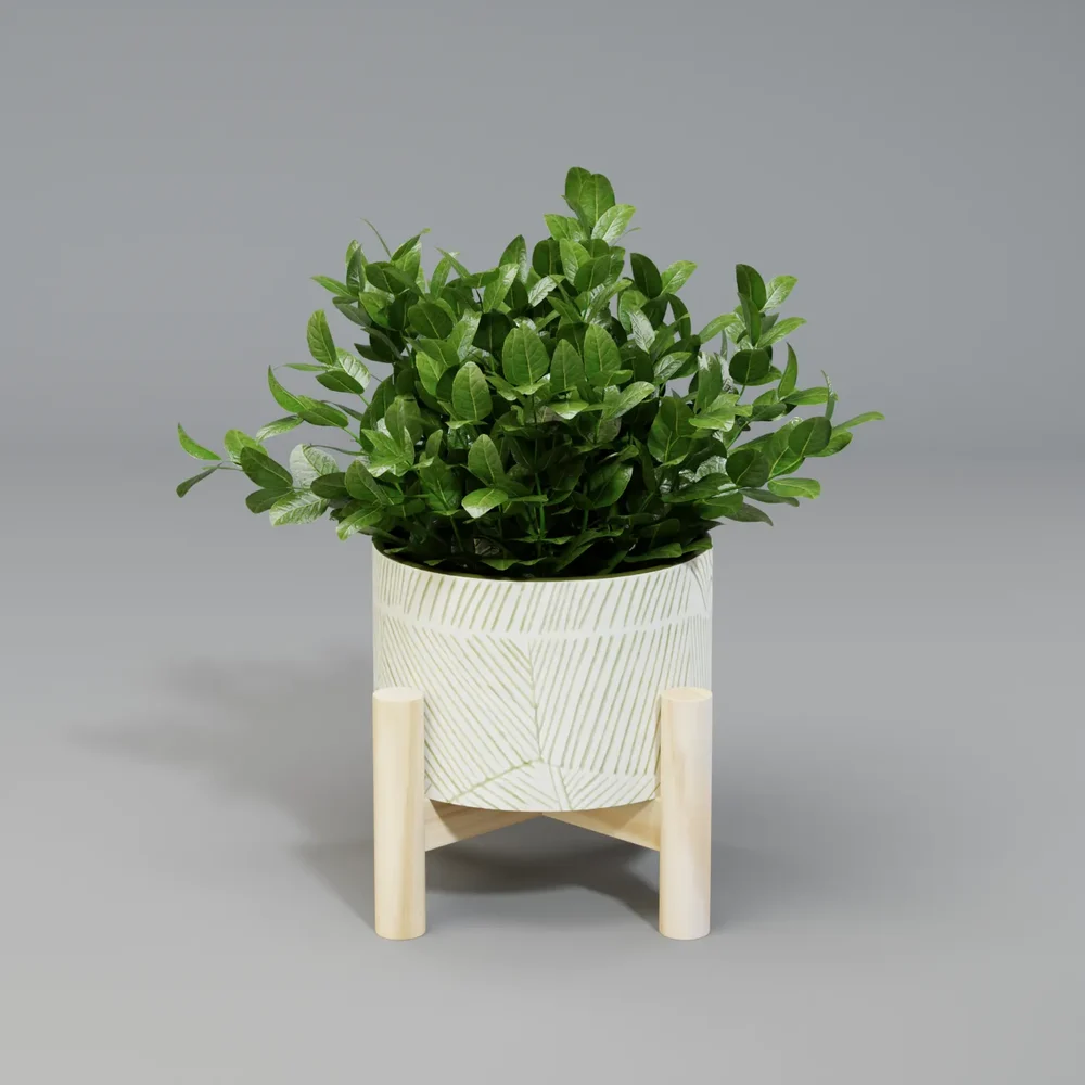 Plant Tea Leaf