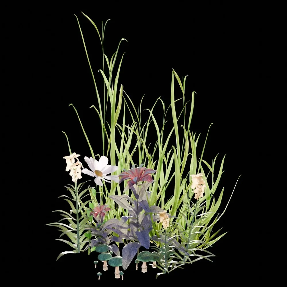 Garden And Yard Plants