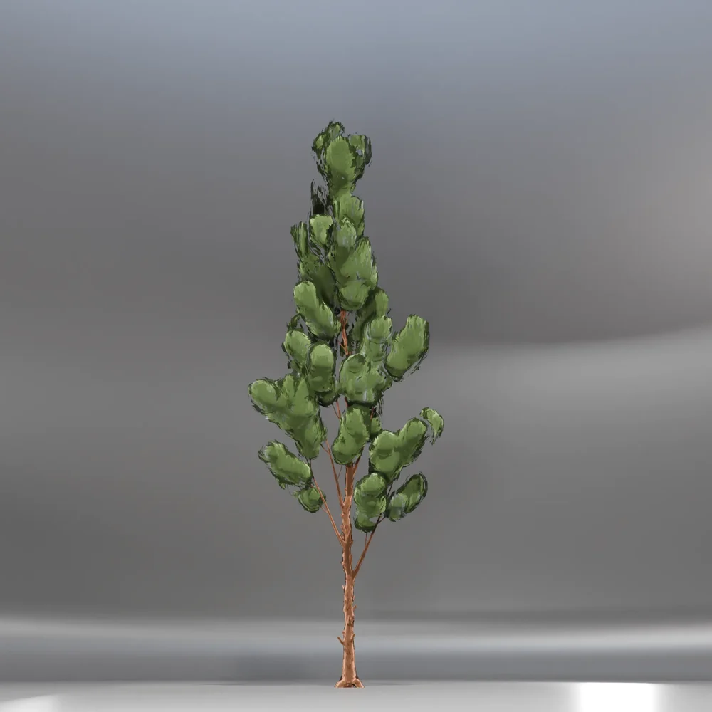 Pine Toon Tree