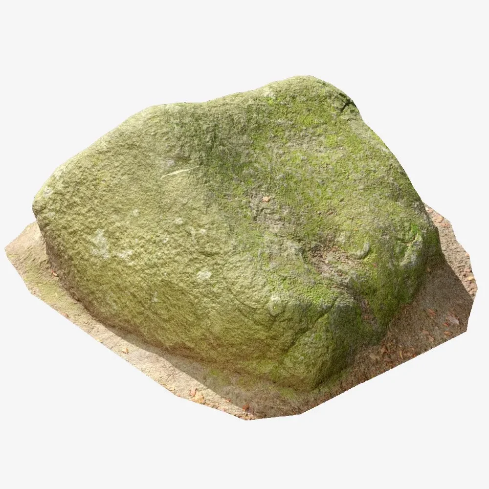 Rock Moss Forest Pbr Scan Part 2.3