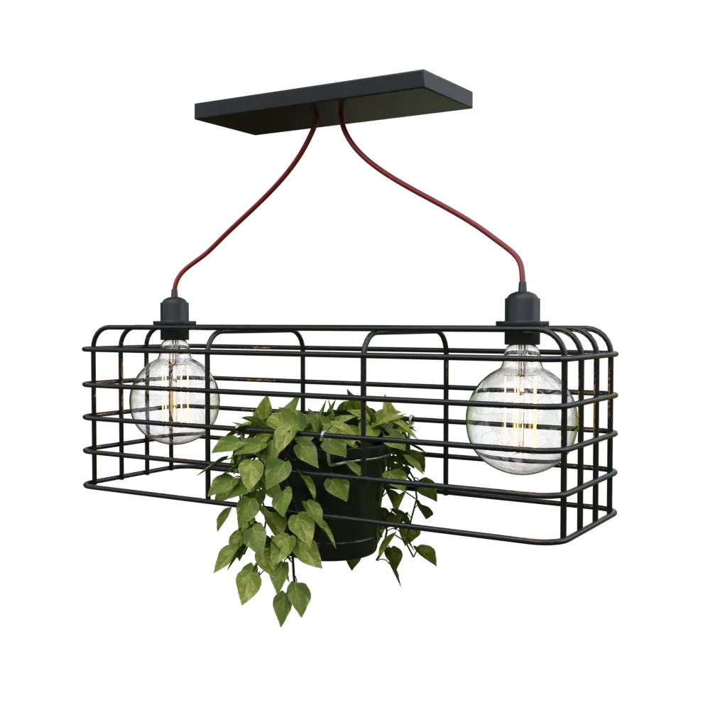Chandelier Wired Noé