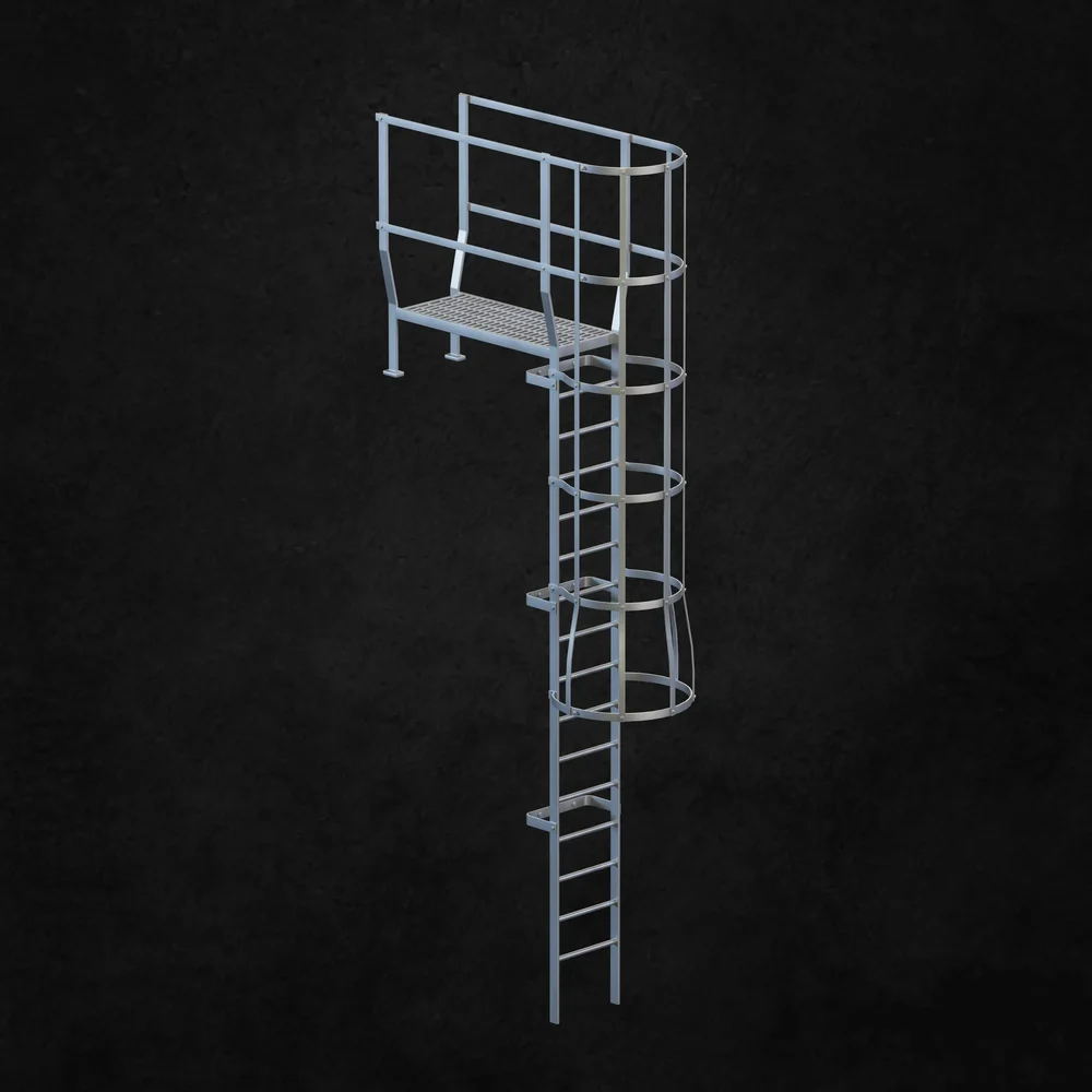 Exterior Ladder