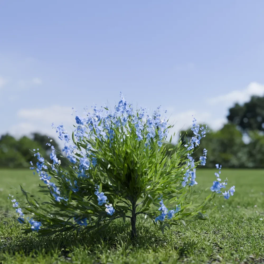 Shurb - Caryopteris Bluebeard Animated