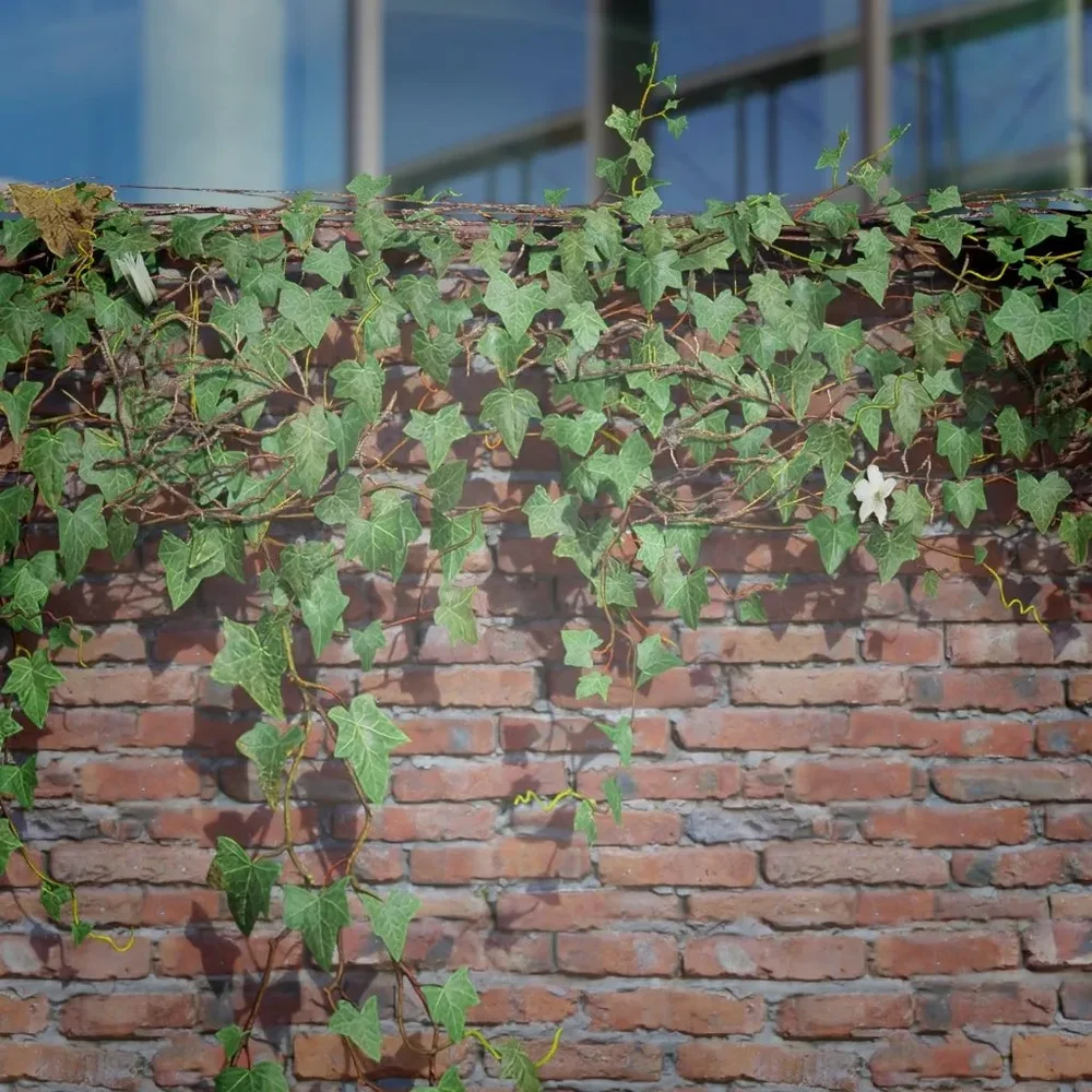 Ivy Creeper Ledge 2m 02 02