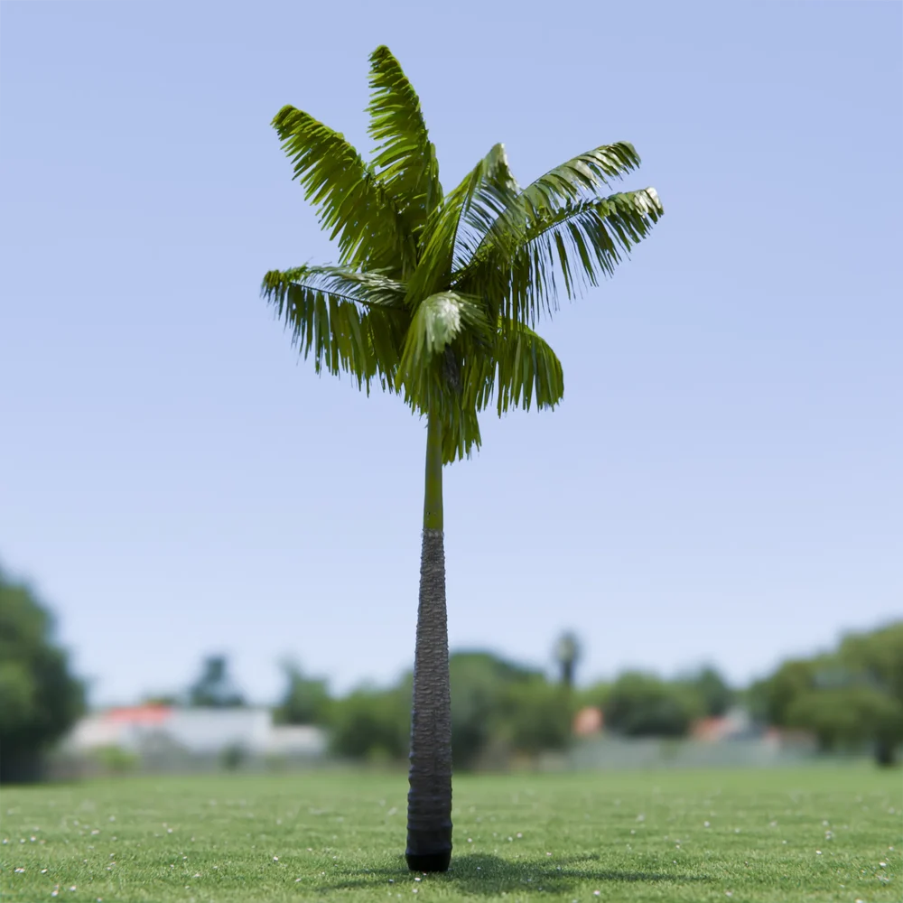 Imperial Palm Tree Animated