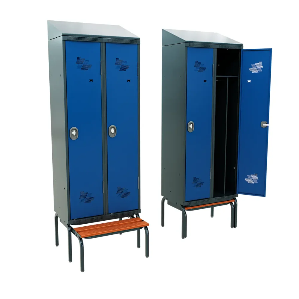 Simple Metallic Locker 400mm/2 Element
