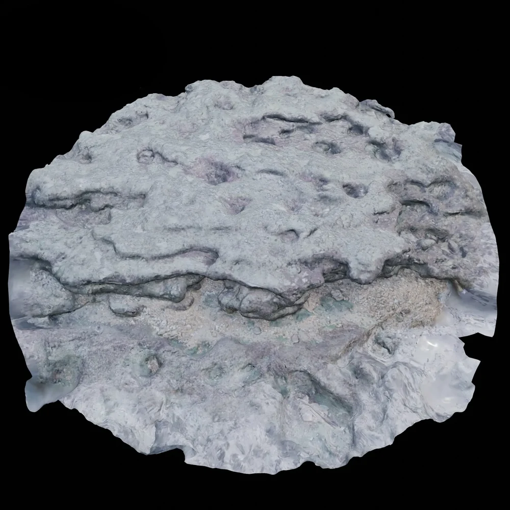 Seashore Area Scan