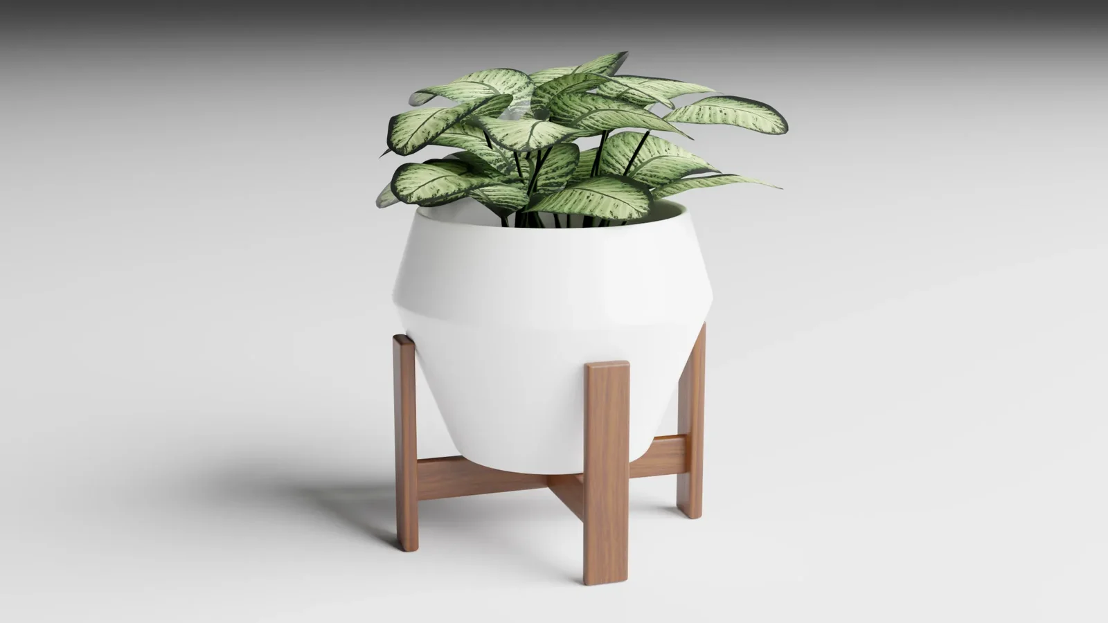 Indoor Planter