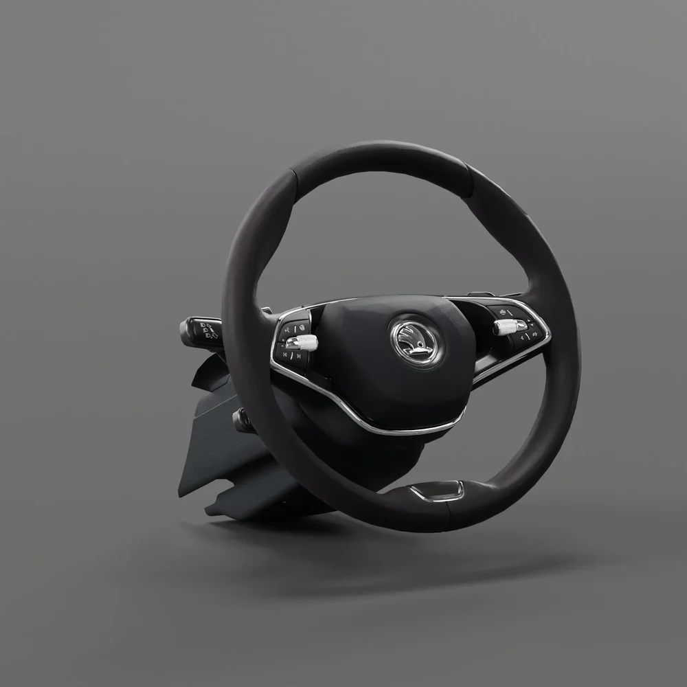 Steeringwheel Skoda