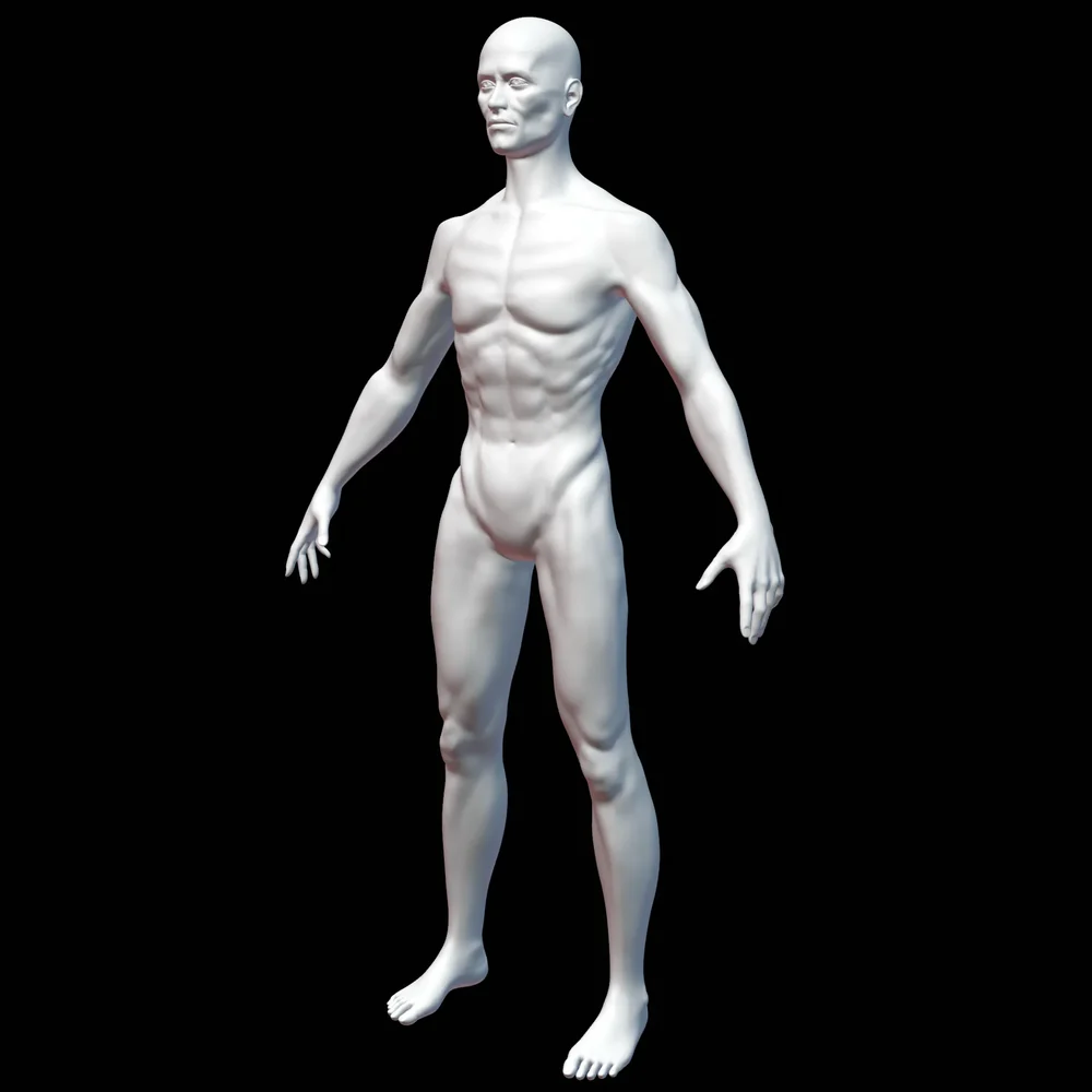 Male Base Mesh - Skinny