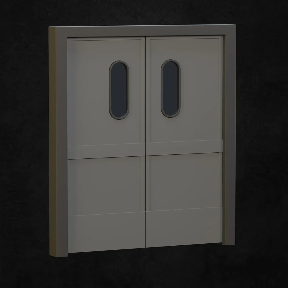 Hospital Door