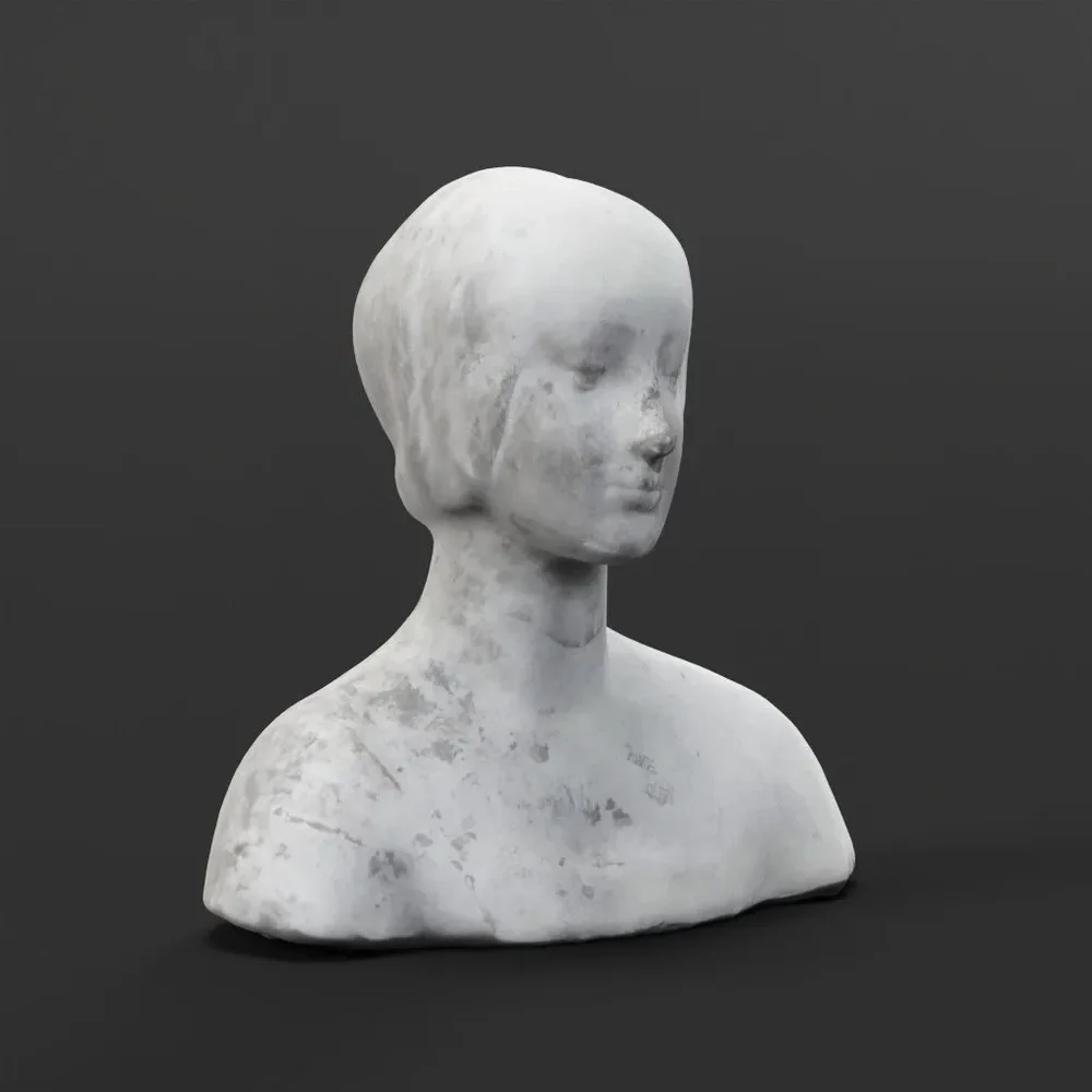 Bust Of A Woman