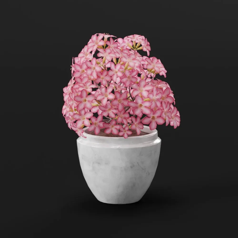 Pink Blossom Bonsai