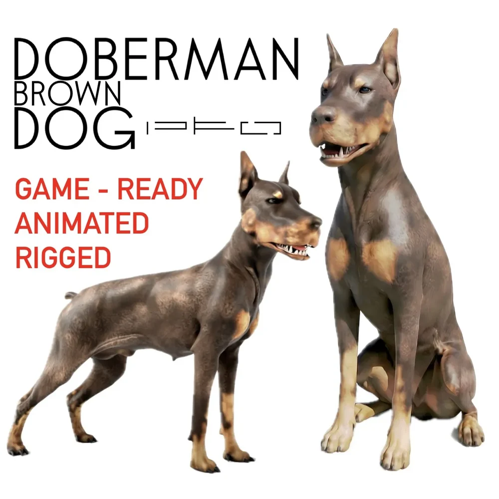 Brown Doberman Dog