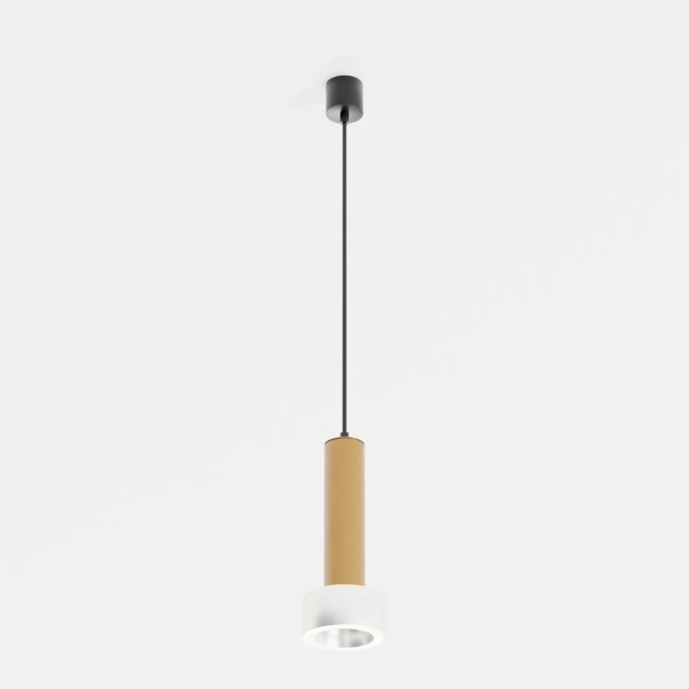 Ceiling Light
