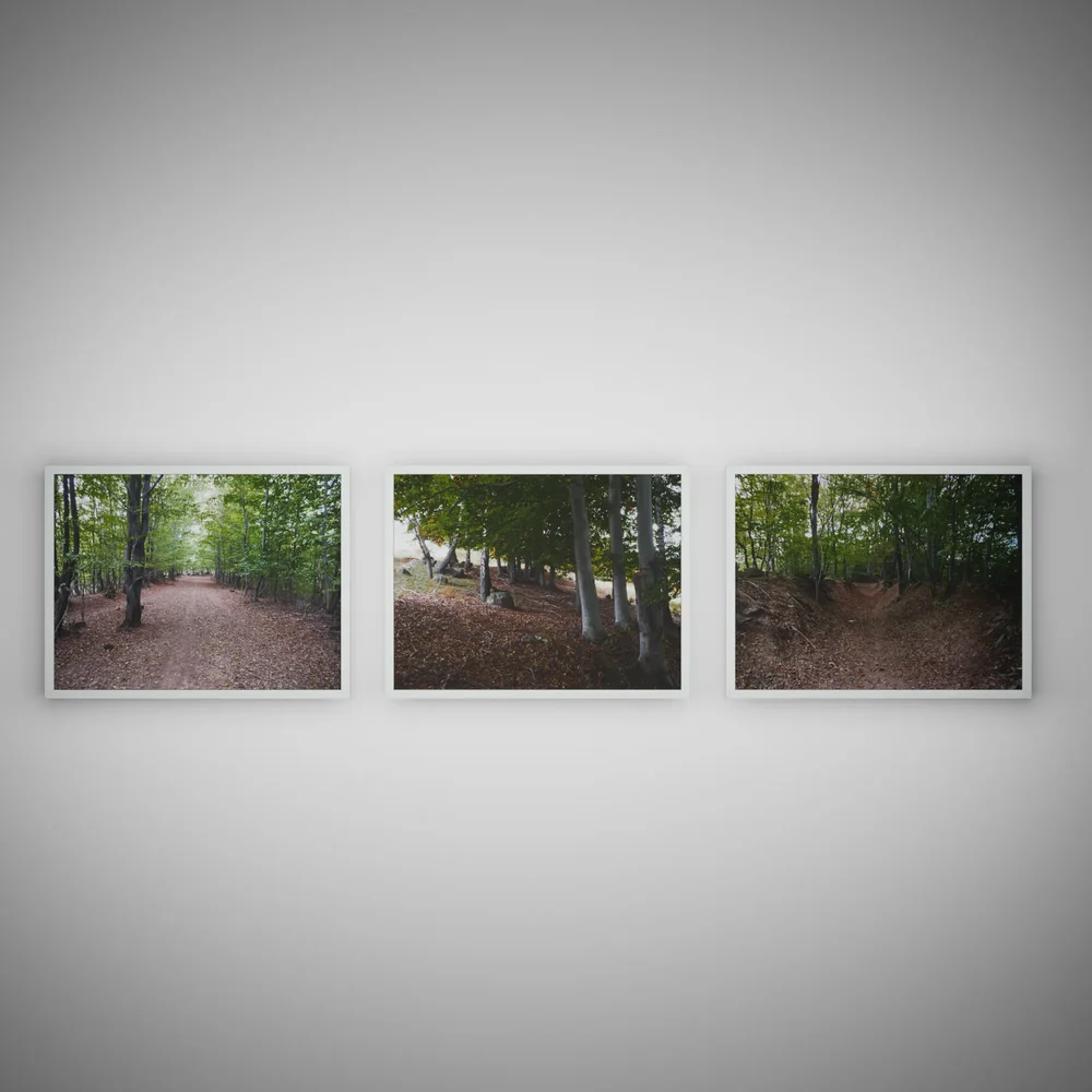 Autumn Paths – 3D Visualization Series 72c4dece-820b-46f5-b040-ec0ee55ada87