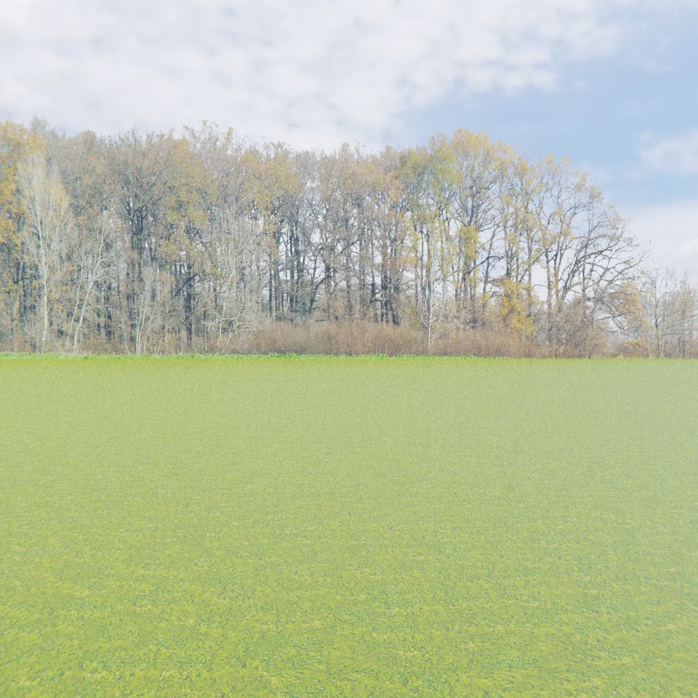 Treelines Of Autumn Backdrop 007 B