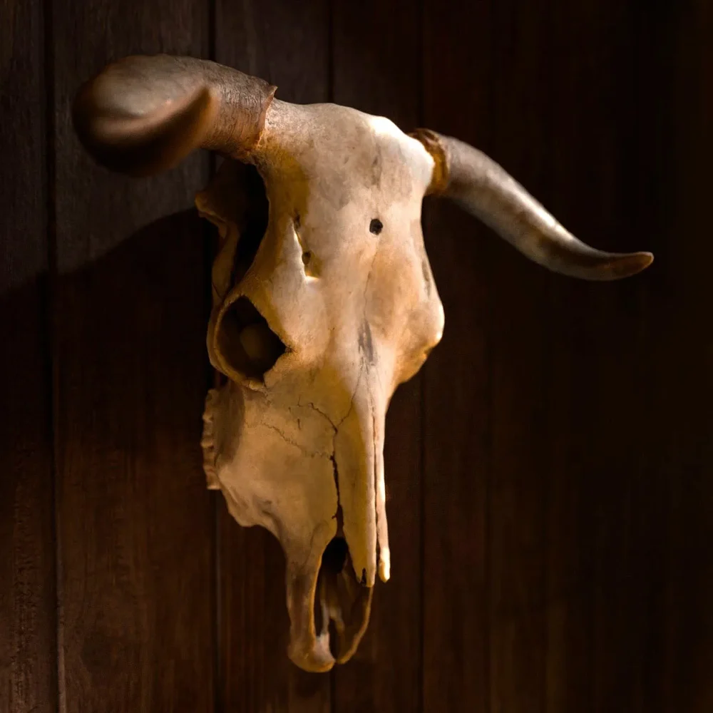 Cow Skull Decoration