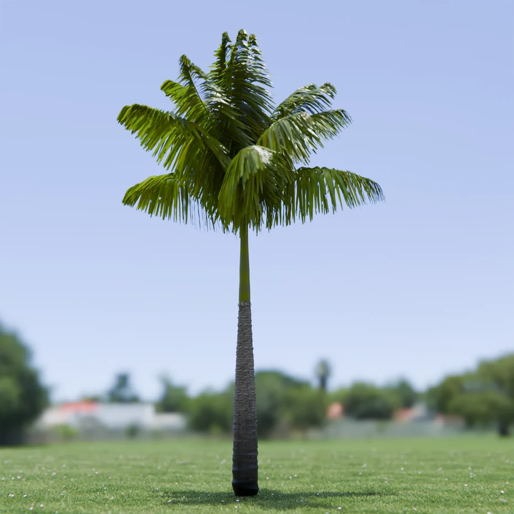 Imperial Palm Tree Animated
