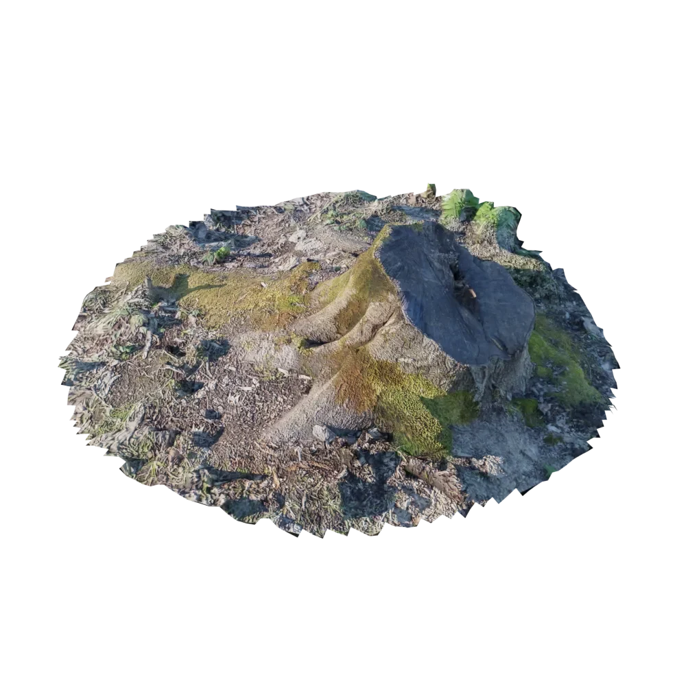 Stump 3-6