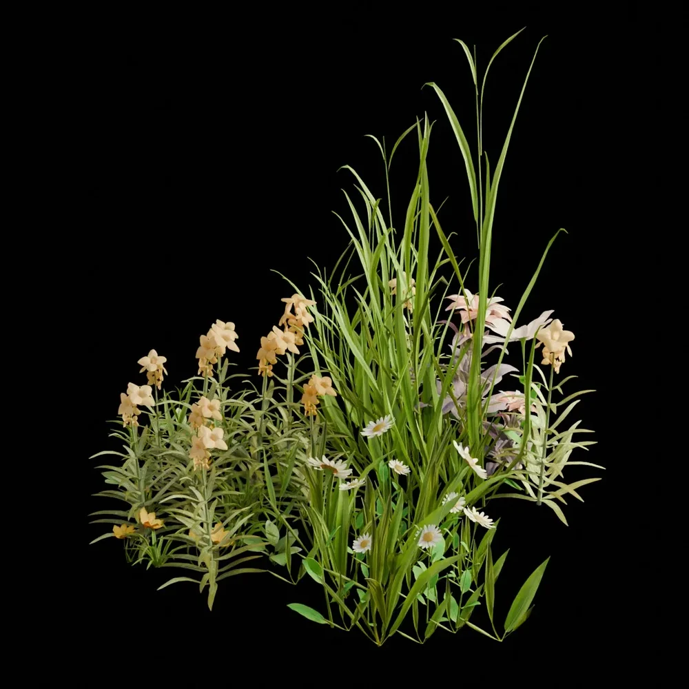 Garden And Yard Plants