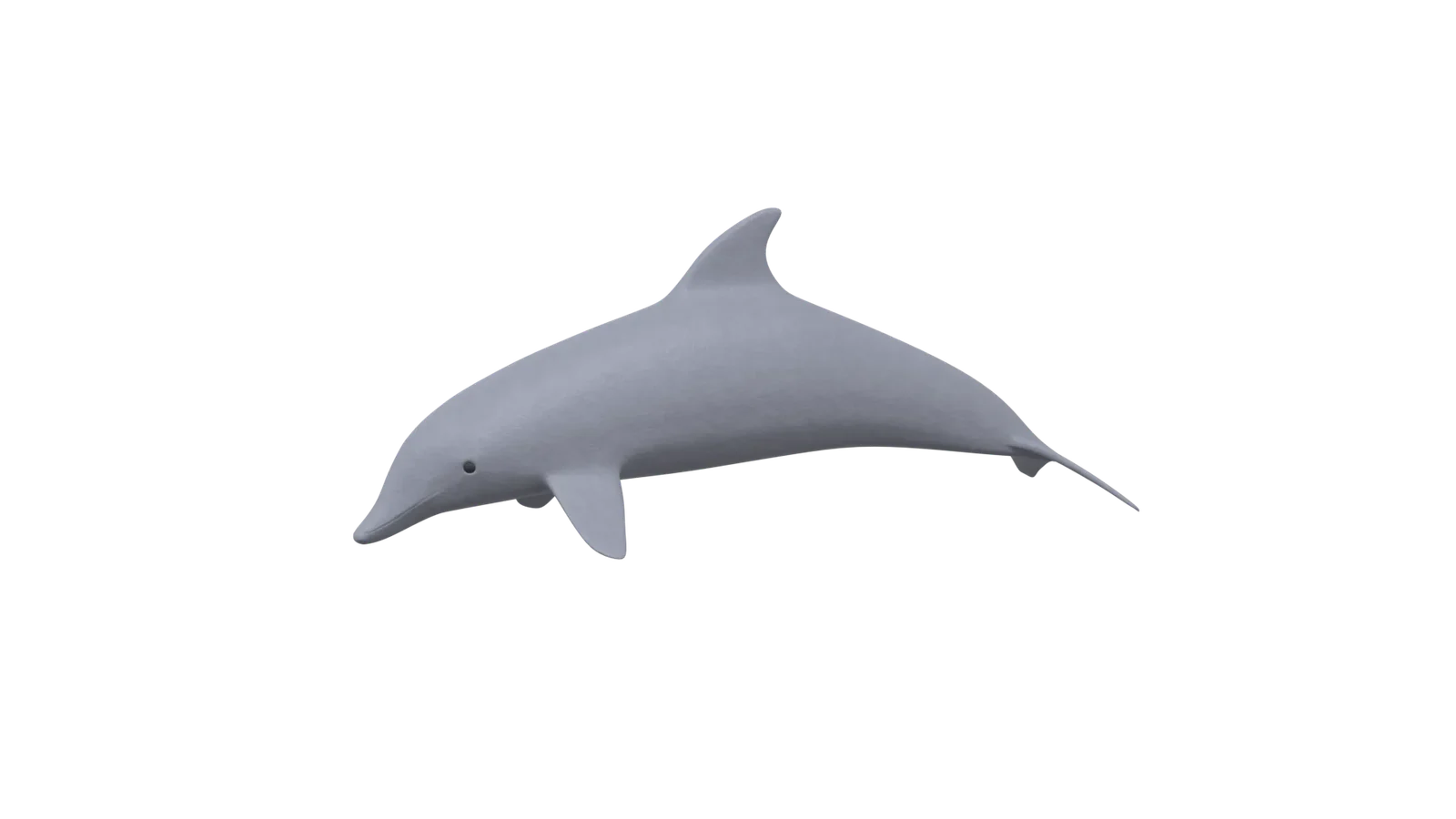Cartoon Dolphin