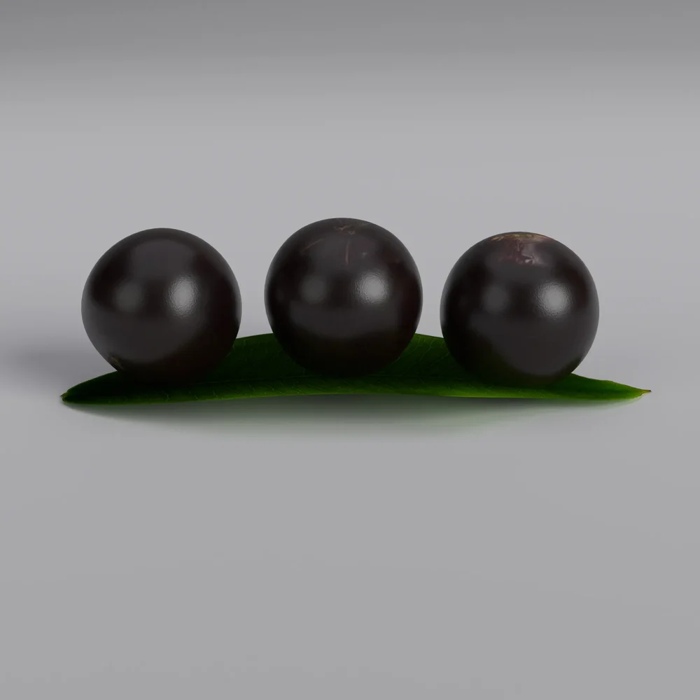Jabuticaba Set