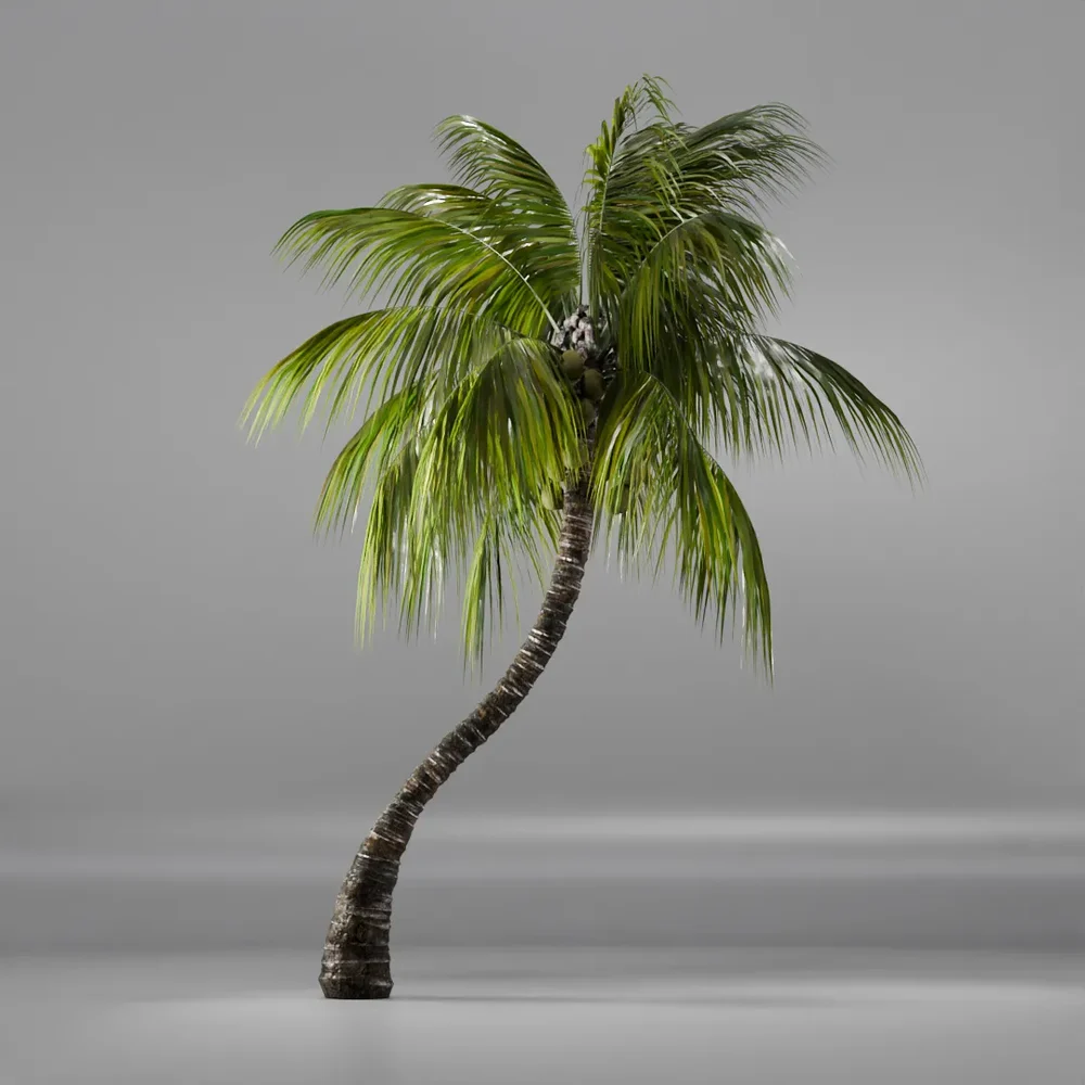 Coconut Tree Rigged And Animated