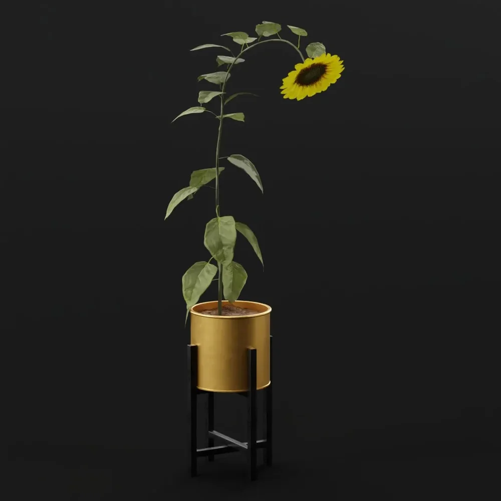 Flower Sunflower High Pot