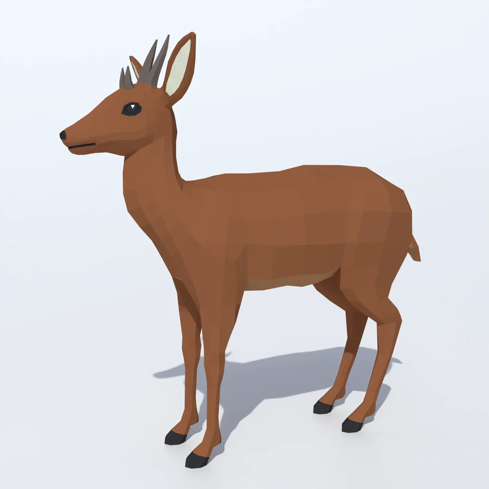 Four-Horned Antelope
