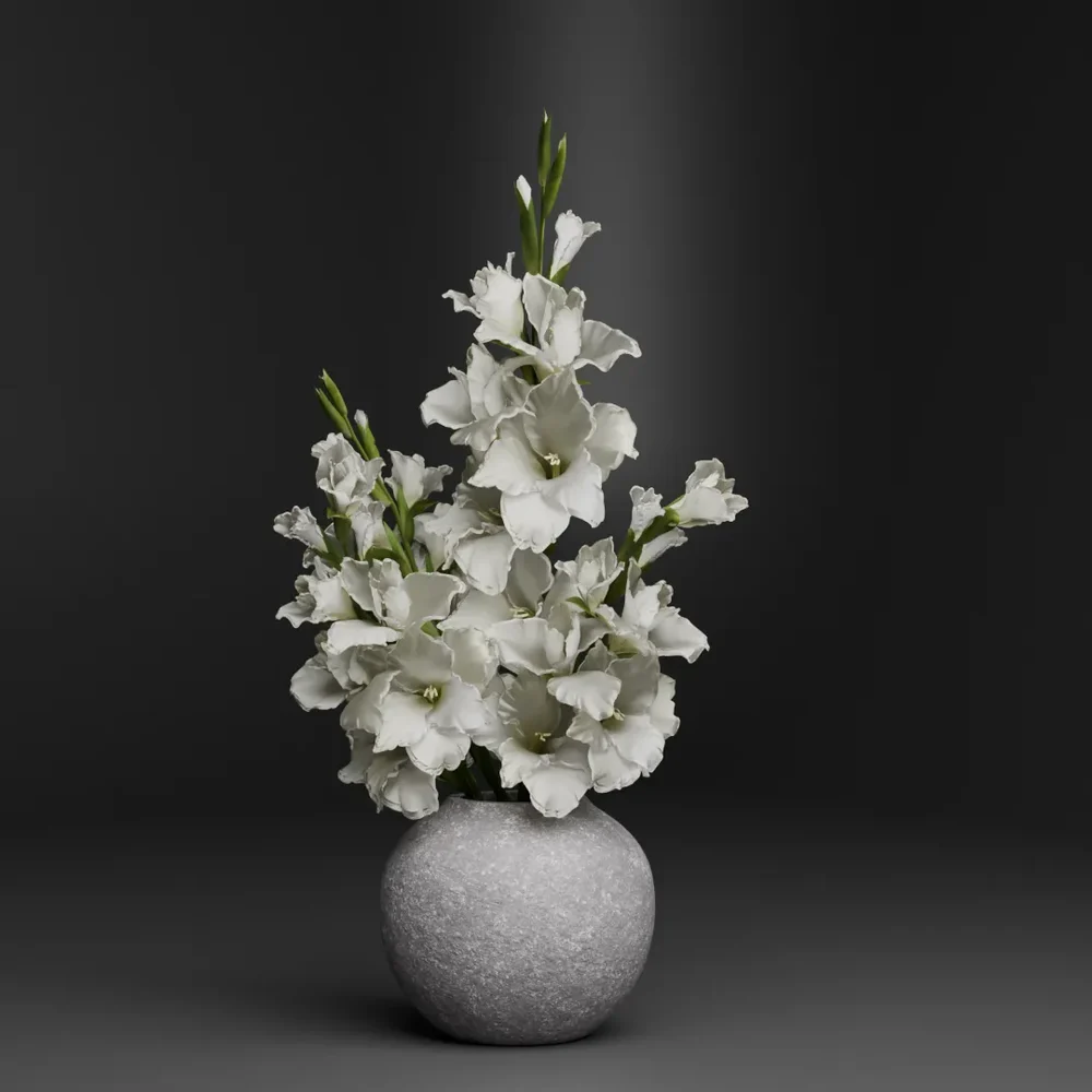 White Gladiolus Flower