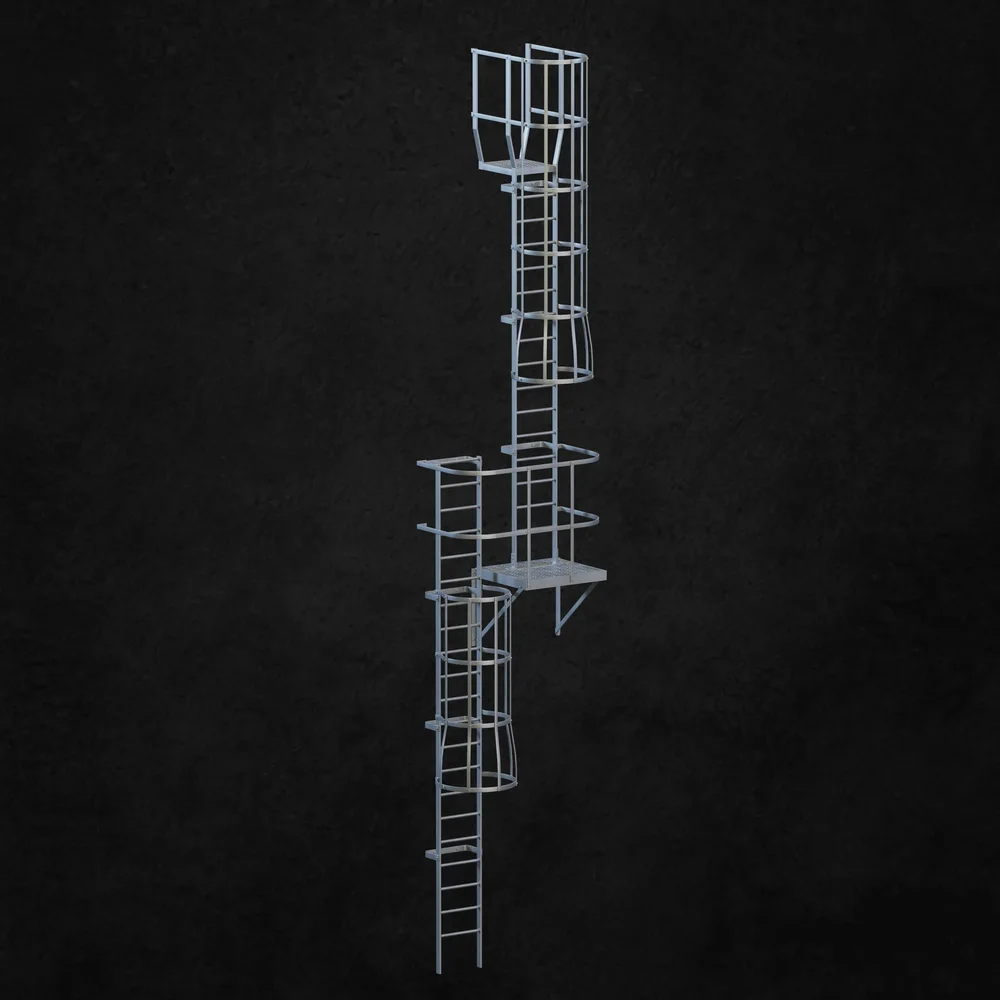 Exterior Ladder