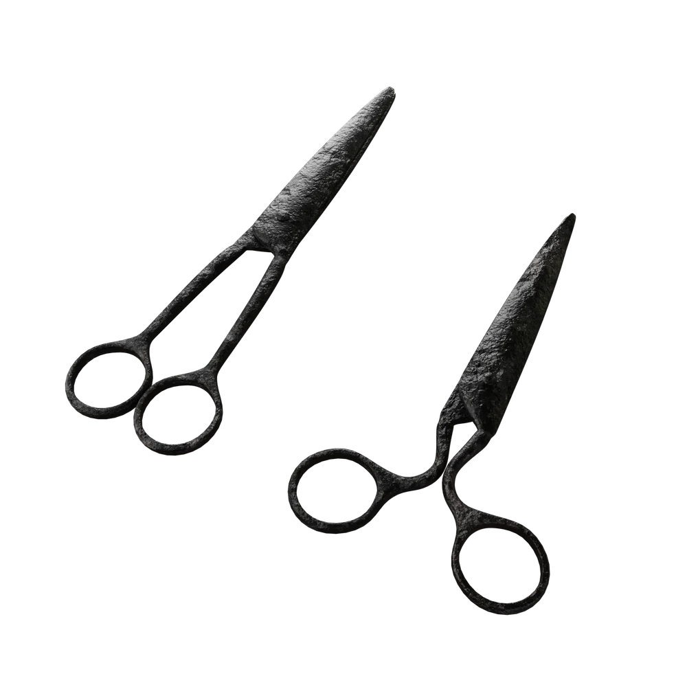 Scissors Rusted