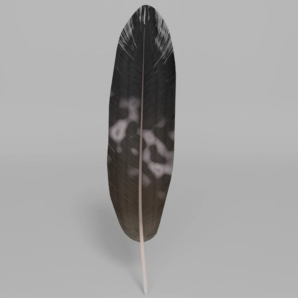 Golden Eagle Feather