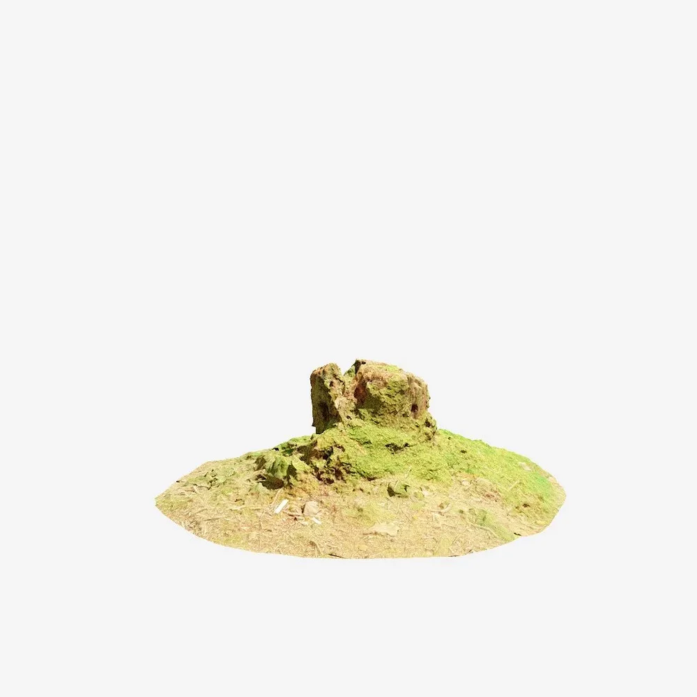 Oak Tree Stump Pbr Scan 02