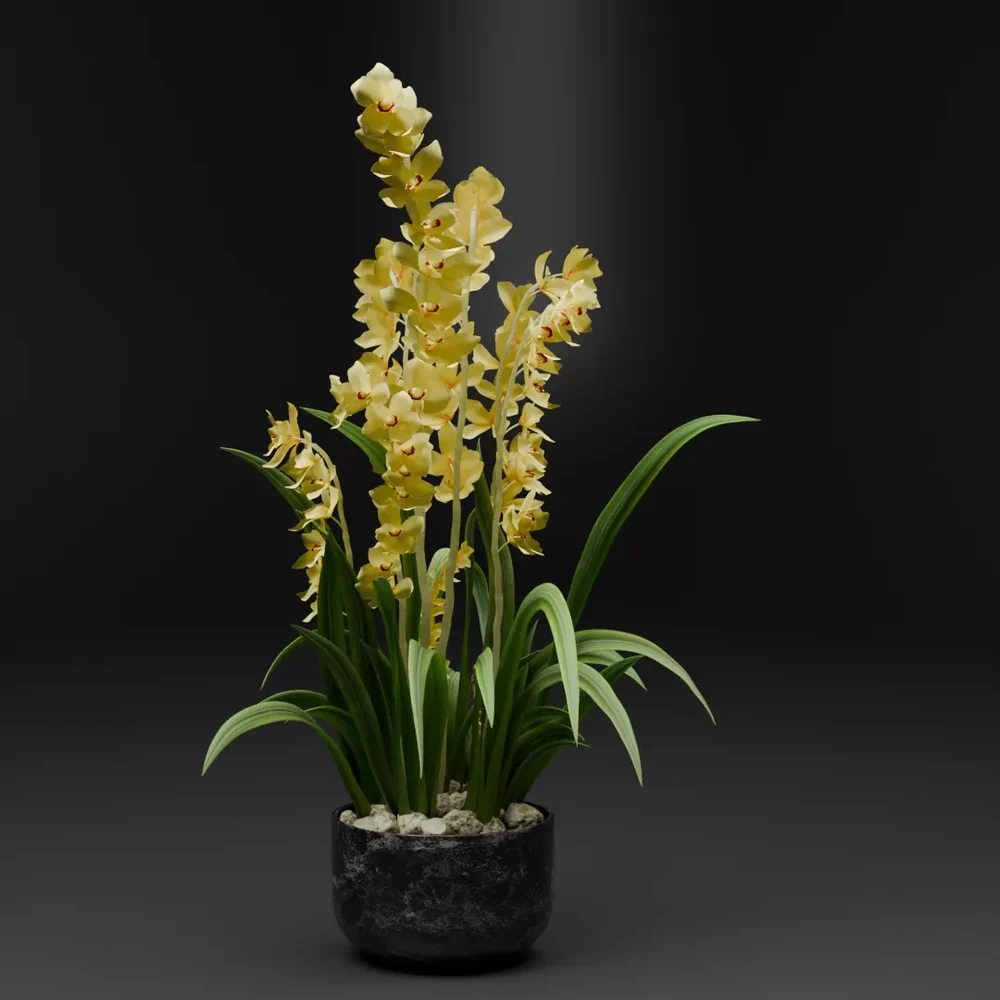 Yellow Orchid Plant In Pot