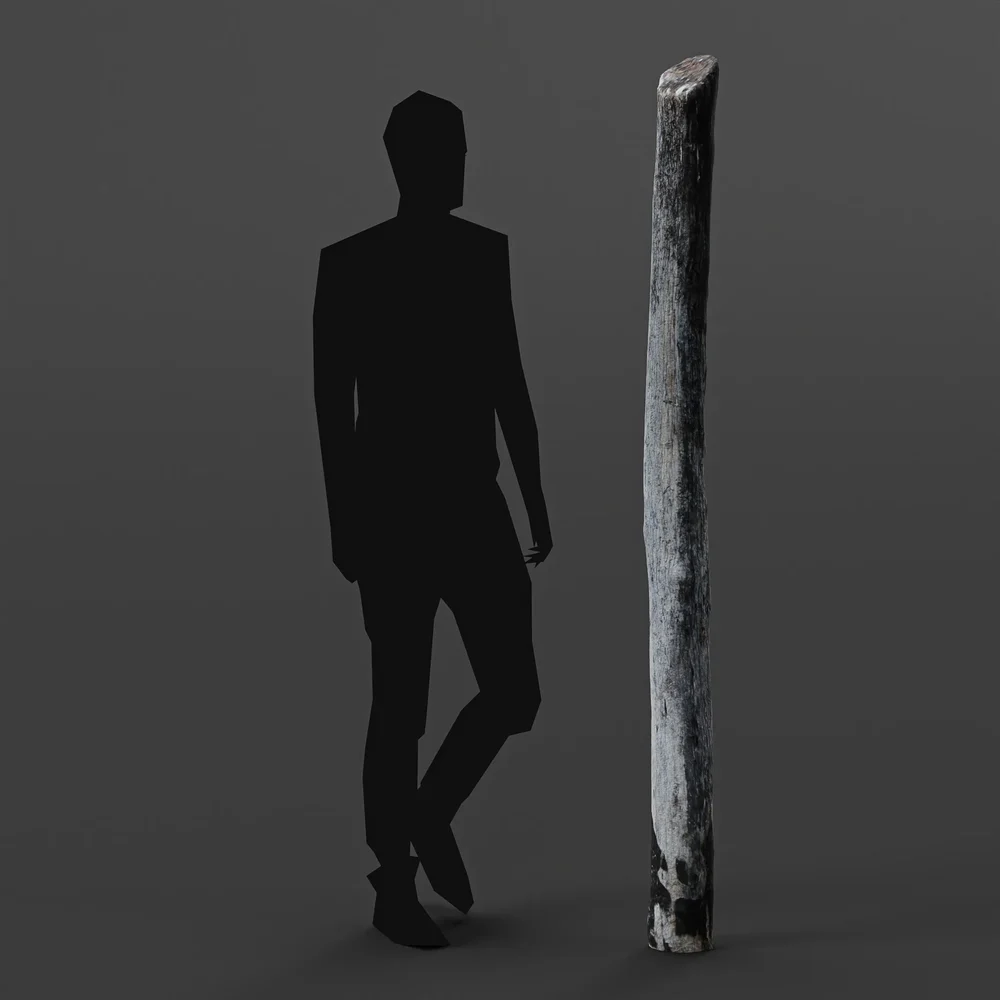 Wooden Pole 02