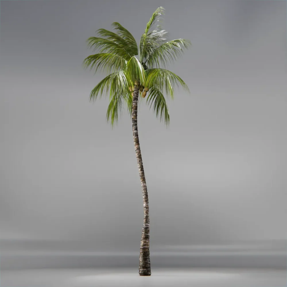 Coconut Tree Rigged And Animated