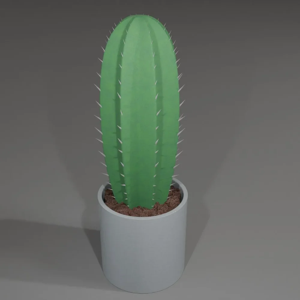 Cactus