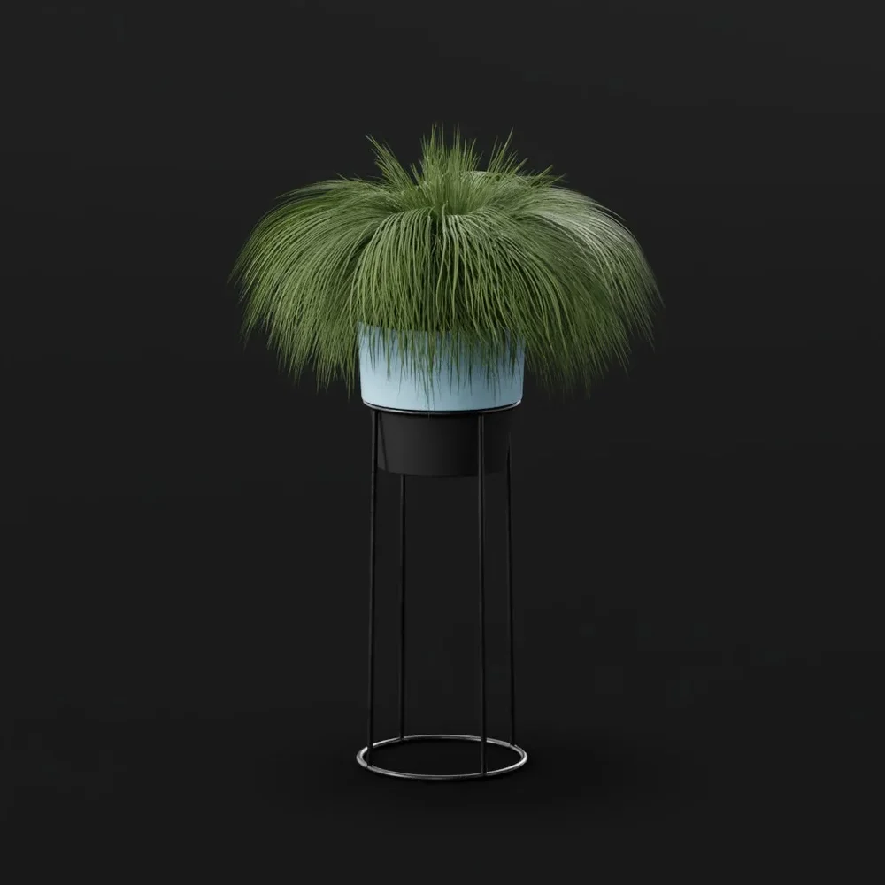 Fountain Grass High Pot
