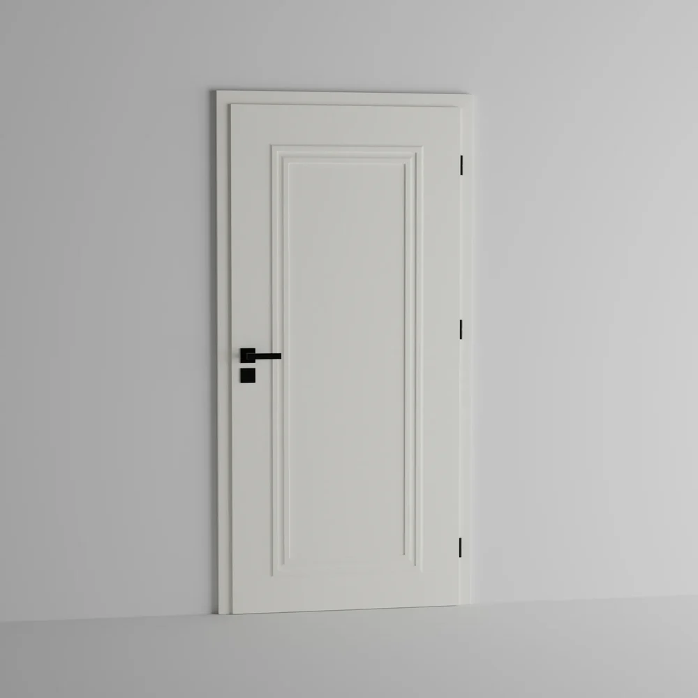 Modern Door