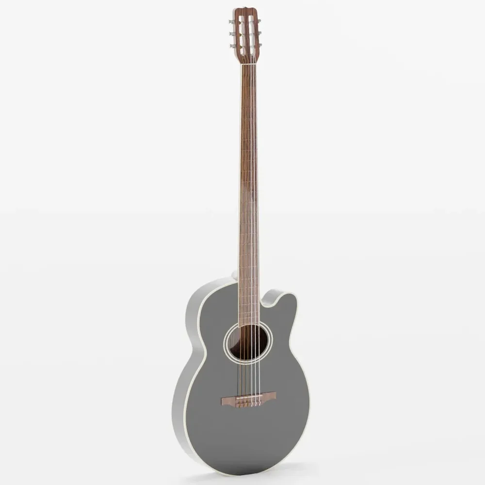 Acoustic Guitar